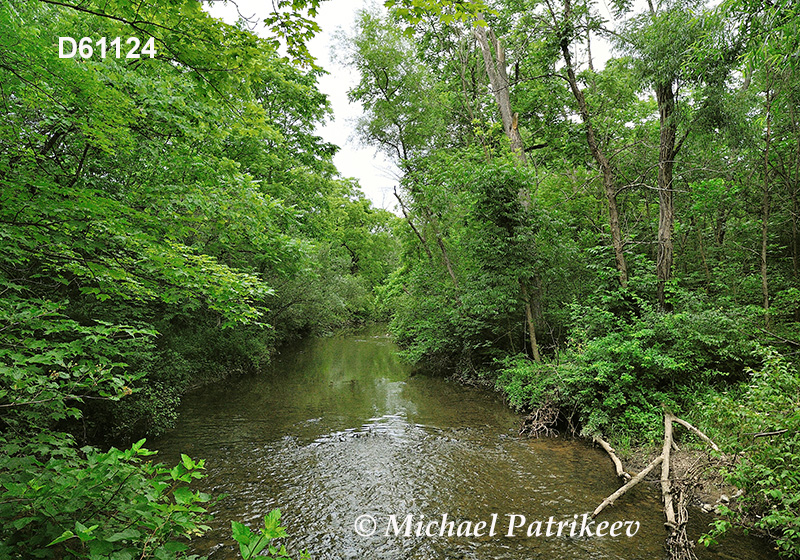 Deciduous Appalachian forest in Canoe Creek State Park